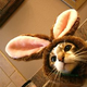 Illustration for article titled In celebration of Easter, my annual semi-offensive gesture of the Easter Neko.